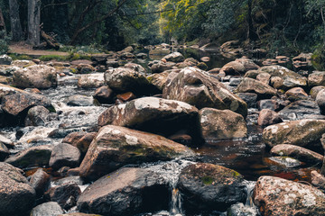 Stream running over rocks