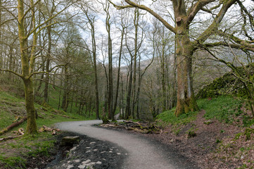 White Moss Walks, scenic forest recreational area by River Rothay in Ambleside, Lake District National Park in South Lakeland, England, UK