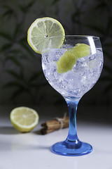 Gin tonic and lemon  vertical plane