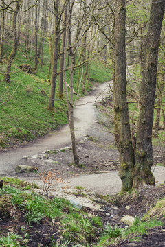 White Moss Walks, scenic forest recreational area by River Rothay in Ambleside, Lake District National Park in South Lakeland, England, UK