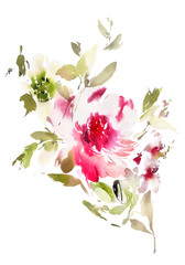 Flowers watercolor illustration