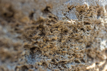 texture of a stone wall close-up, background, selective focus