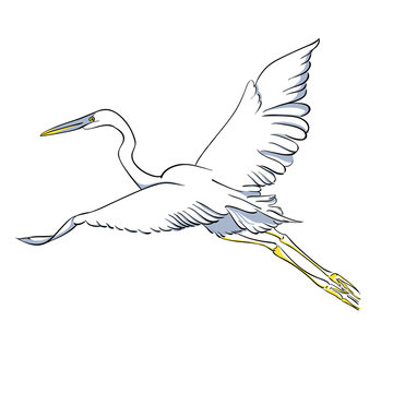 recommend clip art: Heron on water