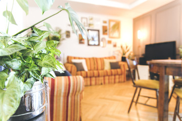 Stylish and modern living room with design sofa with pillows, beautiful plants, wooden table and a lot of mock up frames on the white wall. 