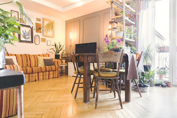 Stylish  and modern space with wooden shelf with a lot of different plants, vintage table, sofa and photo frames . Concept of home garden in sunny and bright space of living room.