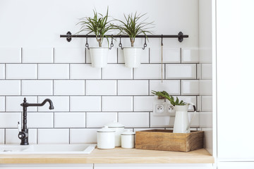 Stylish scandinavian open space with kitchen accessories, plants and sofa. Design room with white...