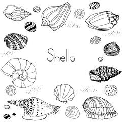 Set of hand drawn shells