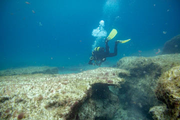 divers in immersion near the reef