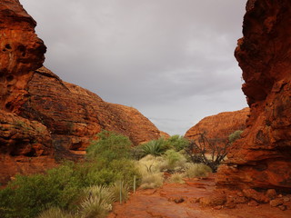 Kings Canyon Australia