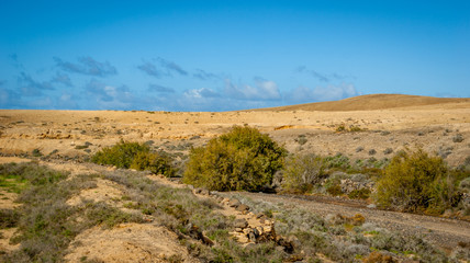 Fuerte Ventura Urlaub Küste Insel