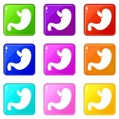 Stomach icons of 9 color set isolated vector illustration