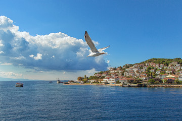 Fototapeta na wymiar Adalar island near Istanbul
