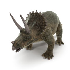 Fototapeta premium Triceratops dinosaur on white. 3D illustration
