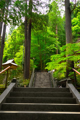 三徳山（三仏寺）投入堂（鳥取県東伯郡三朝町）