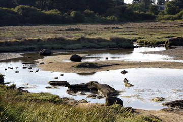 paysage de Bretagne