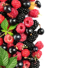 berries on white background