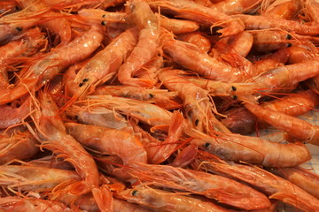 the shrimps in a market