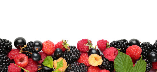 berries on white background