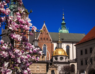 The detail of a cathedral of St Stanislaw and St Vaclav on the Wawel Hill