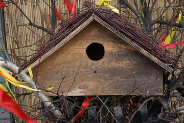 small bird home