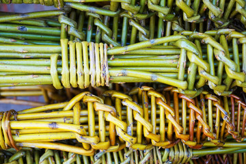 czech easter pussywillow twigs