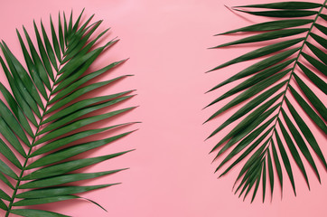 Tropical palm leaves on pastel pink background