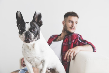 Foreground of French Bulldog dog sitting on a sofa with his friend in the background