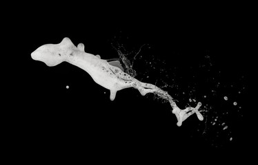 White bubble foam splash explosion in the air on black background,freeze stop motion photo object...