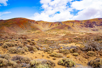Idyllic El Teide National Park on Tenerife Island, Canary Islands, Spain