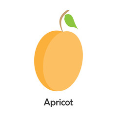 Apricot in cartoon style, card with fruit for kid, preschool activity for children, vector illustration