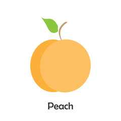 Peach in cartoon style, card with fruit for kid, preschool activity for children, vector illustration