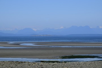 beach landscape at Miracle Beach during low tide, near Oyster River; Vancouver Island British Columbia Canada 