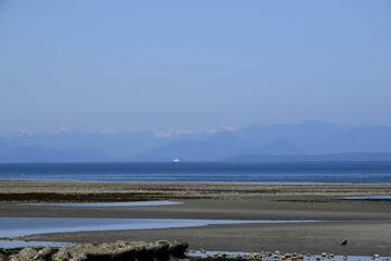 beach landscape at Miracle Beach during low tide, near Oyster River; Vancouver Island British Columbia Canada 