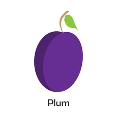 Plum in cartoon style, card with fruit for kid, preschool activity for children, vector illustration