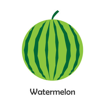 Watermelon in cartoon style, card with fruit for kid, preschool activity for children, vector illustration