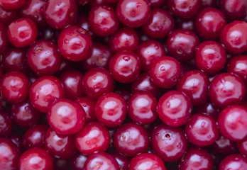 red cherry background