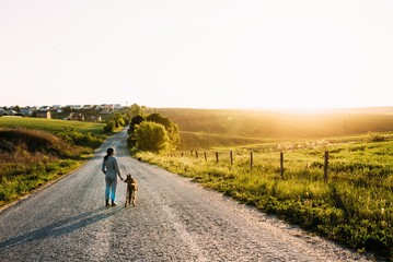 Obraz premium A pretty girl leads a dog next to her on the road