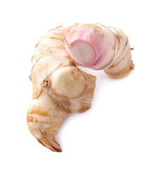 galangal isolated on the white background