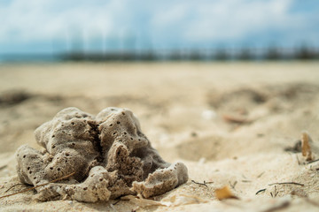 Sponge on the beach, Green Turtle Cay Bahamas