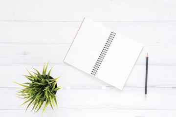 Minimal work space - Creative flat lay photo of workspace desk. White office desk wooden table background with open mock up notebooks and pens and plant. Top view with copy space, flat lay photography