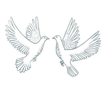 Flying Doves in Hand-Drawn Style