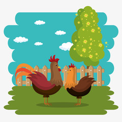 Obraz na płótnie Canvas roosters in the farm scene