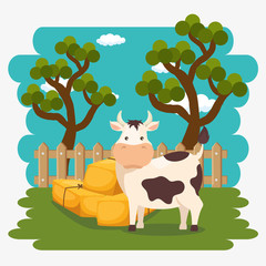 cows in the farm scene
