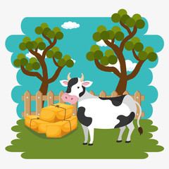cows in the farm scene