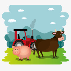 pigs in the farm scene vector illustration design