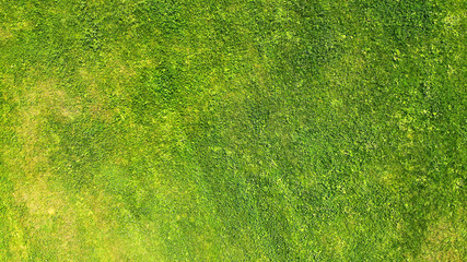 Aerial. Green grass texture background.