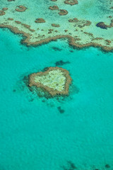 Heart reef at the Great Barrier reef in Australia. 