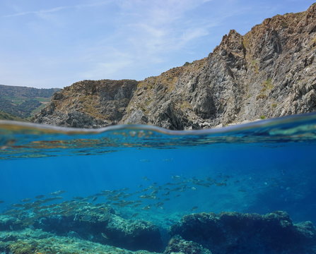 Coastal cliff with a school of fish underwater, split view above and below water surface, Mediterranean sea, Marine reserve of Cerbere Banyuls, Pyrenees Orientales, France