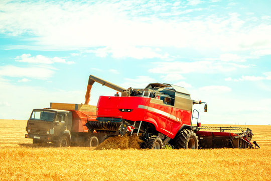grain harvester on wheat field pouring grain into the truck