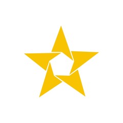 Star logo design template vector illustration